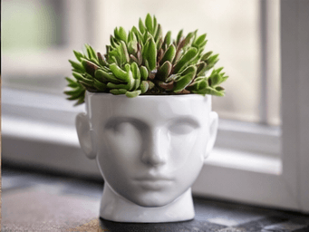 Human Face Planter